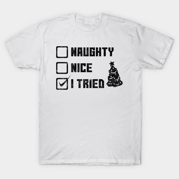 Naughty, Nice, I Tried T-Shirt by SillyShirts